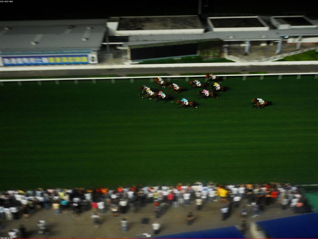 ការយល់ដឹងអំពីវប្បធម៌កាស៊ីណូ